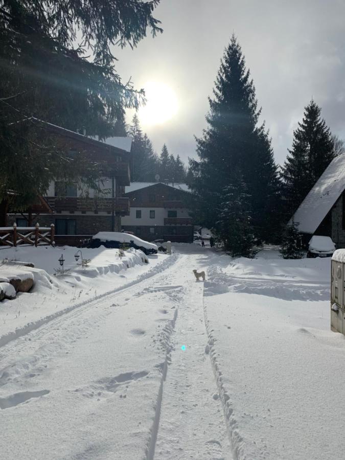 Lucnica Apartments Тале Экстерьер фото
